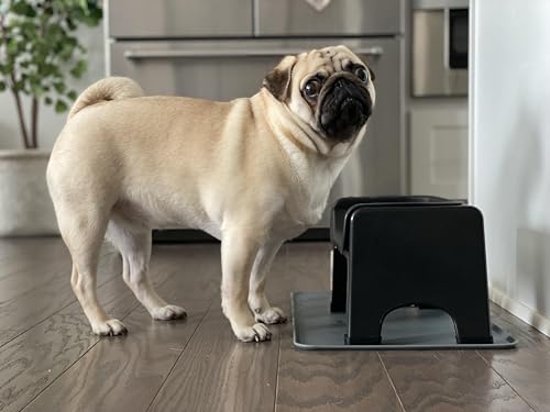 The Fluff Trough Elevated Slow Feeder Dog Bowl (Black)