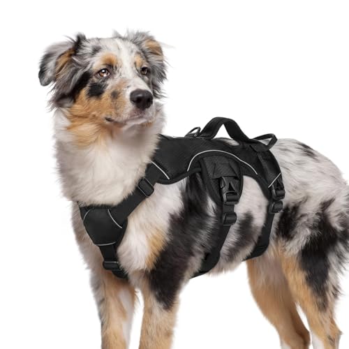 Escape Proof Dog Harness for Medium (Black / Medium)
