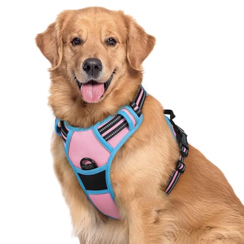 Dog Harness No Pull for Large Dogs with 2 Leash Clips (X-Large / Pink & Blue)