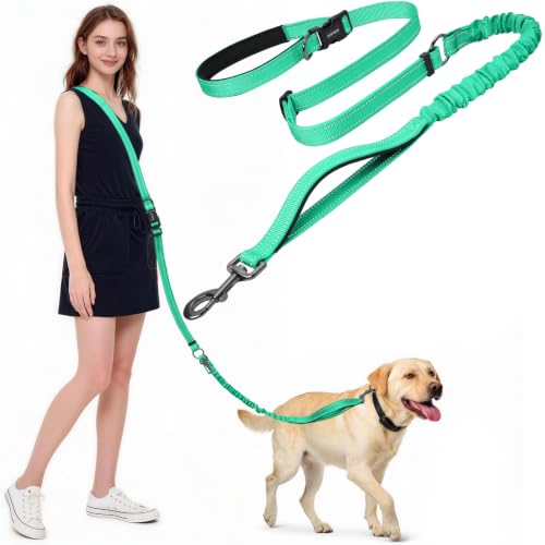 Hands Free Dog Leash by Kazazoo (GREEN Bungee / M)