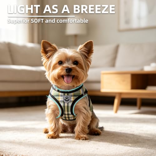 Dog Harness Collar and Leash Set No Pull for Small Medium Sized (Yellow Green / XS (CHEST 13"-14.5"))