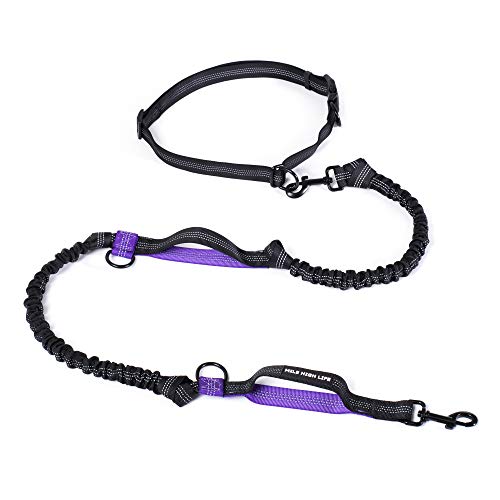 Hands Free Leash (Black Purple / 7FT Hands Free)