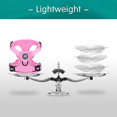Mesh Dog Harness (L / Light Pink)
