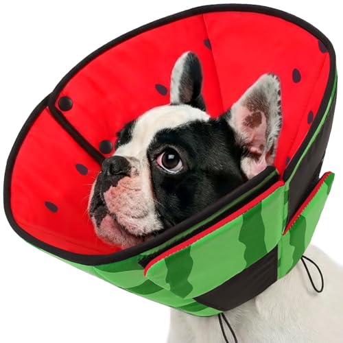 Dog Cones for Small Dogs (S / Watermelon)