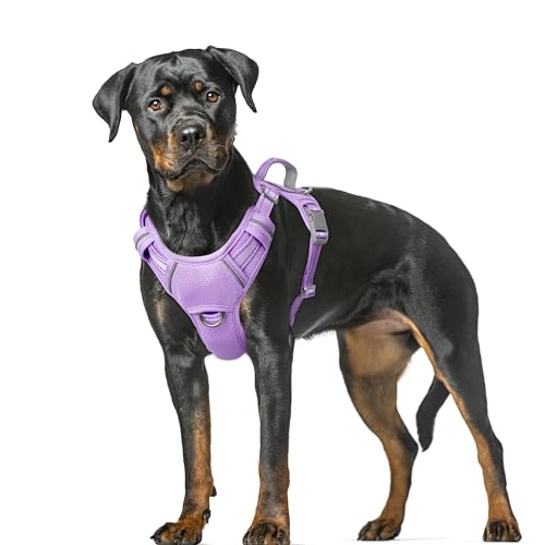 Dog Harness for Large Dogs No Pull Dog Vest ID Tag Pocket (Violet Purple / X-Large)