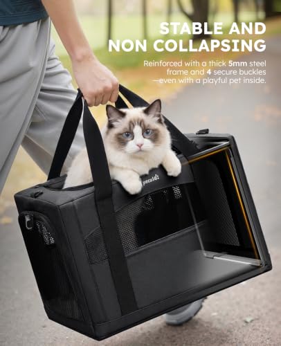 Cat Carrier Stable (Dark Gray / 18.5"L x 12.9"W x 11.8"H)