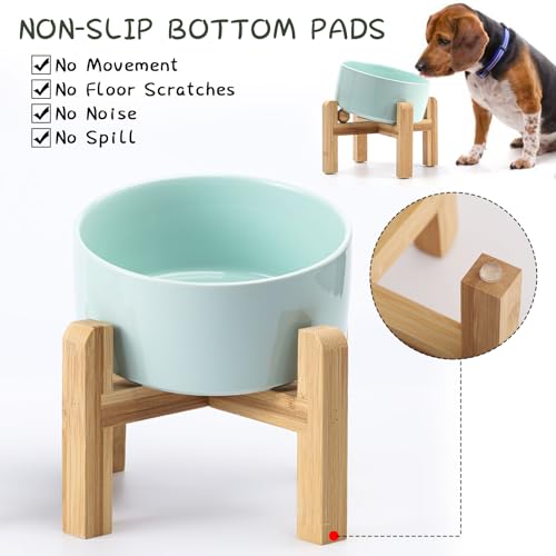 Elevated Raised 15°Slanted Ceramic Dog Bowl for Small and Medium Breeds (Blue Sky / 3.6 CUPS - Medium Dog Bowls)