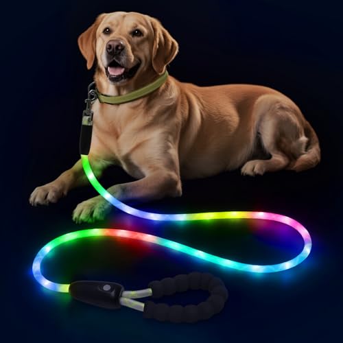 LED Light Up Dog Leash (Multi-Color / 6FT)