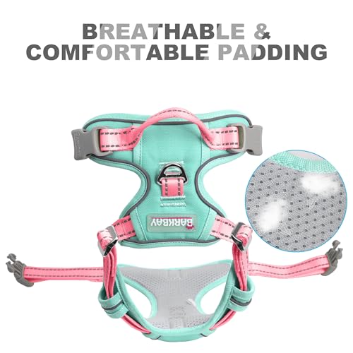 Dog Harness No Pull for Small Sized Dog Front Back Clips (X-Small(Chest:15.5-19.5”) / Cool Mint & Baby Pink)