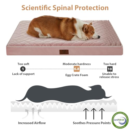 Orthopedic Waterproof Large Dog Bed for Crate Cozy Sleep (Pink / 35"L x 22"W x 3"Th)