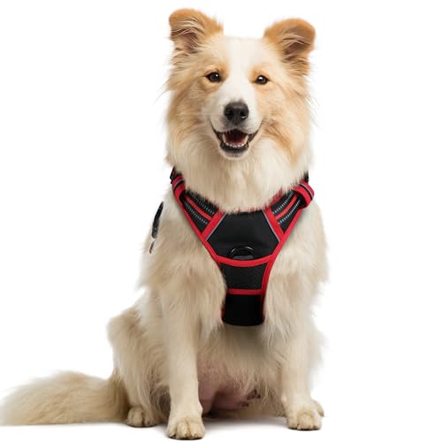 Dog Harness No Pull Medium Sized with 2 Leash Clips (Medium / Black & Red)