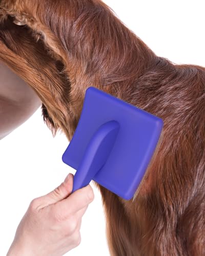 Slicker Brush for Dog (L / Blue)