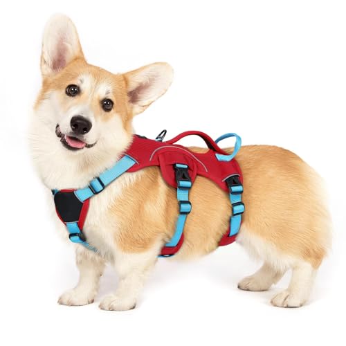 Escape Proof Dog Harness for Small (Sky Blue & Red / Small)