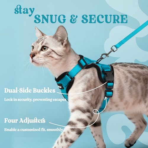 Cat Harness and Leash Set (Xs / Teal)