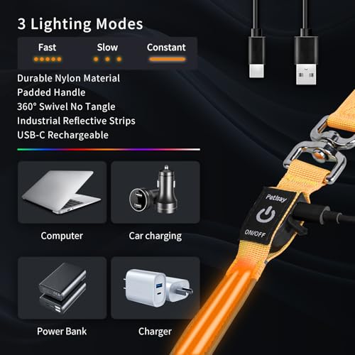 LED Dog Leash (Orange / 6 feet)