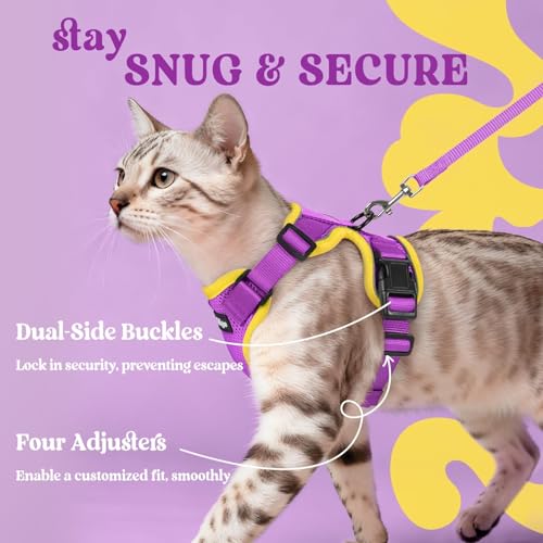 Cat Harness and Leash Set (Xs / Purple & Yellow)