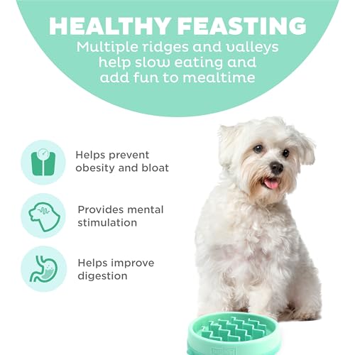 Fun Feeder Slo Bowl Dog Slow Feeder (Mint / Small)