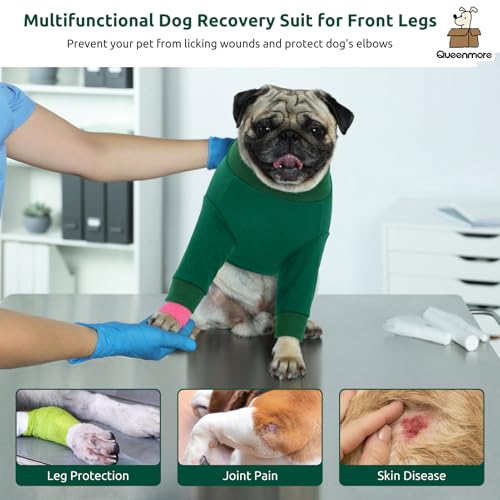 Dog Recovery Suit for Front Legs (Large / Green)