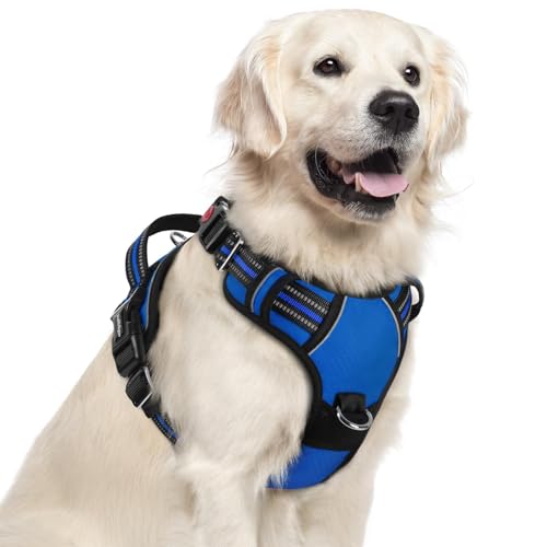 Dog Harness for Large (Royal Blue / X-Large)