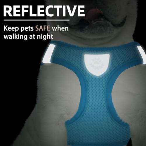 Dog Harness Collar and Leash Set No Pull for Small Medium Sized (Solid LightBlue / M (CHEST 16"-18"))
