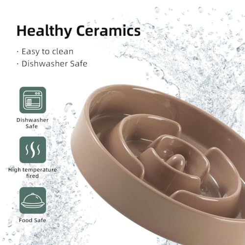 Elevated Slow Feeder Dog Bowls (Brown Coffee)
