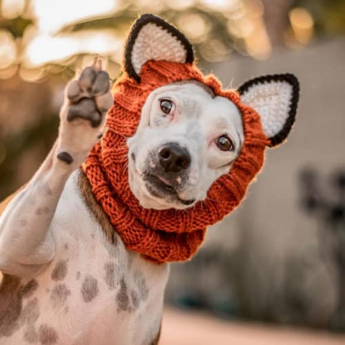 Fox Costume Knit Dog Snood Ear Wrap for Pets (Small)