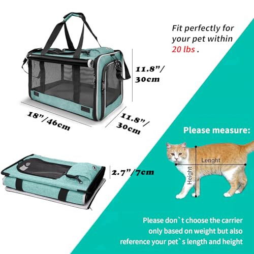 Small Dog Carrier Yorkshire Puppy Softshell Chihuahua Transport Cage (Turquoise / 18.1"L x 11.8"W x 11.8"H)