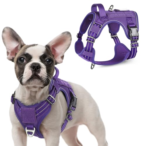 Tactical Dog Harness for Small (Purple / Small)