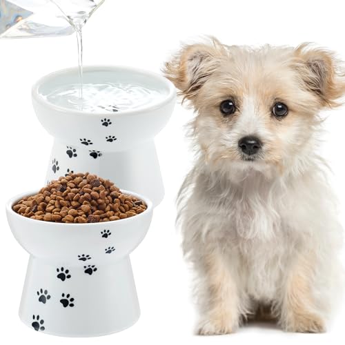 2 Pack Elevated Dog Bowls for Small Dogs and Cats