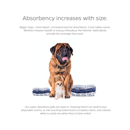 Washable Belly Bands for Male Dogs (Large (20-25") / Kahuna)