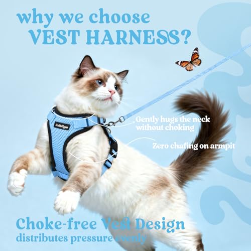 Cat Harness and Leash Set (S / Light Blue)