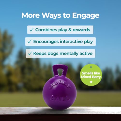 Tug-n-Toss Heavy Duty Dog Toy Ball with Handle, 8 Inches/Large, Purple (Purple / Large (8 in))