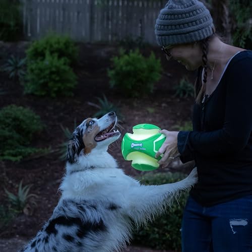 Kick Fetch Max Glow Ball (Large / Max Glow)