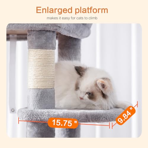 Cat Tree for Large Cats (Light Gray / 60 inch)