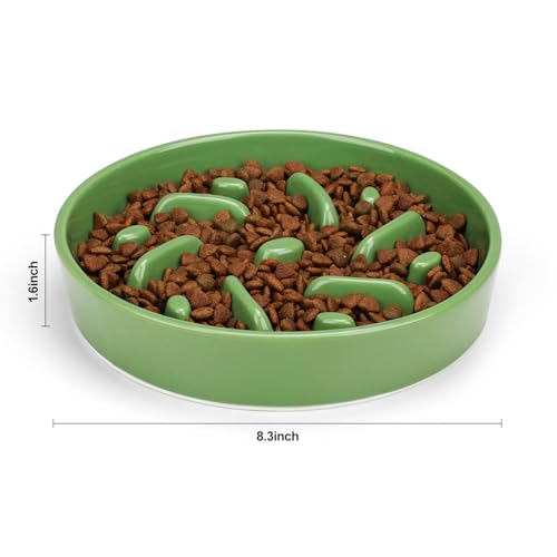 Ceramic Slow Feeder Dog Bowl (Maze - Green / 2 Cups)