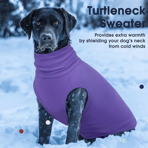 XXXL Dog Sweater (XXX-Large / Purple)