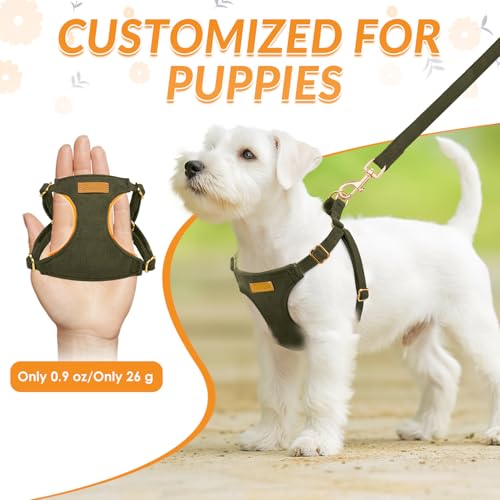 No Pull Dog Harness with Leash for Small Medium Dogs (XX-Small(2.2-6lb) / Solid Military Green)