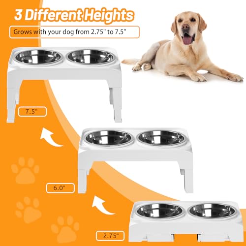 Elevated Dog Bowls with 2 Stainless Steel Dog Food & Water Raised Bowls with No Spill Edge Non (S (6" for Small Dogs) / White)