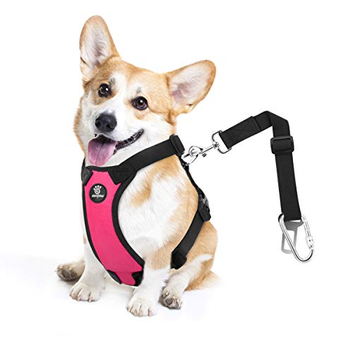 Dog Seat Belt Vest Harness for Car (Magenta / M (Chest: 19.7-26.4", Neck: 12.6-20.5"))