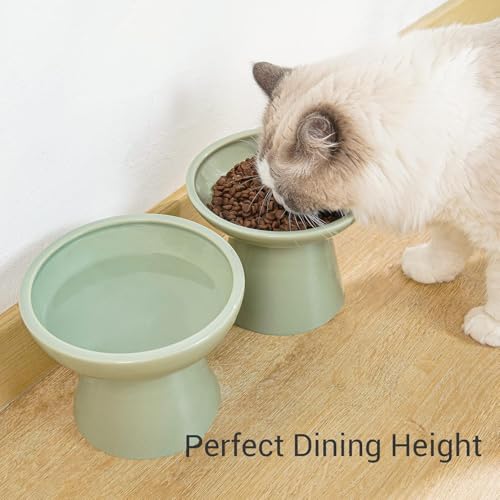 2 Pack Elevated Ceramic Cat Bowls Extra Wide for Food & Water (Sage Green)