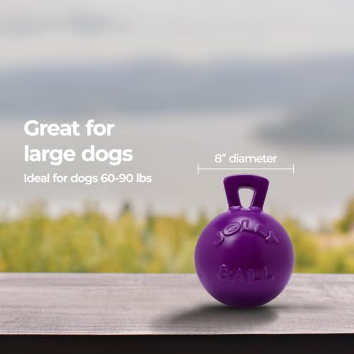 Tug-n-Toss Heavy Duty Dog Toy Ball with Handle, 8 Inches/Large, Purple (Purple / Large (8 in))