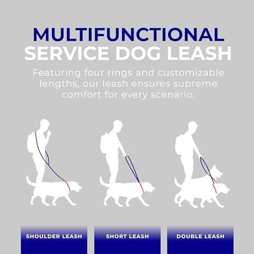 ActiveDogs Hands Free Dog Leash (6.5')