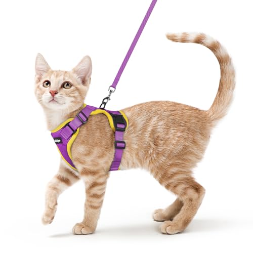 Cat Harness and Leash Set (Xs / Purple & Yellow)
