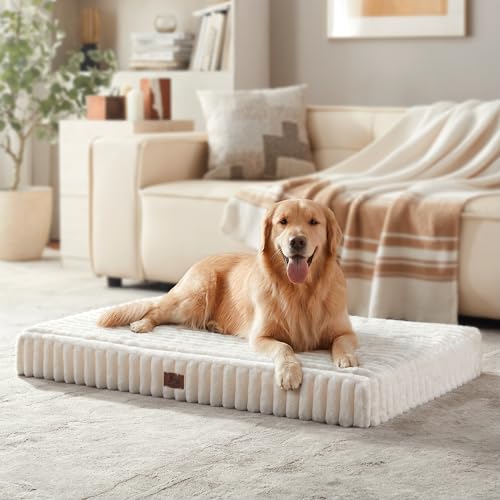 Orthopedic Large Dog Bed (Cream / L+(36x27x3"))