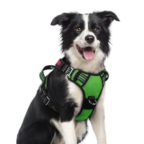Dog Harness Medium Sized (Green / Medium)