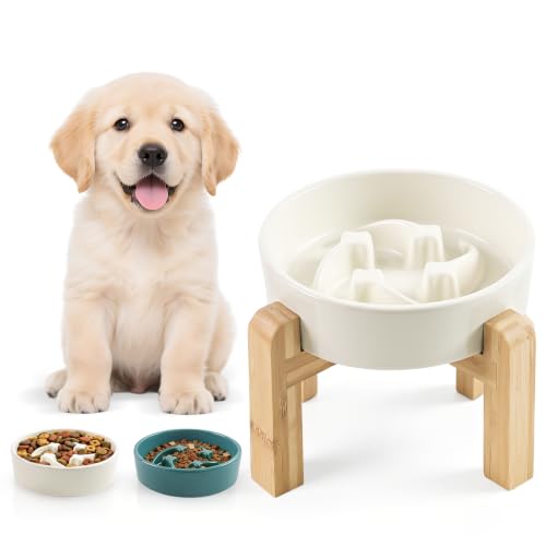 6.3” Elevated Slow Feeder Dog Bowls (White-M)