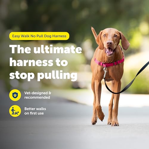 Easy Walk Harness for Dogs (Medium / Red)