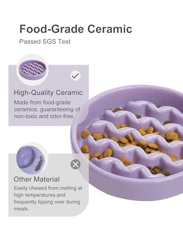 Ceramic Slow Feeder Dog Bowl (Macroni-Purple / Medium)