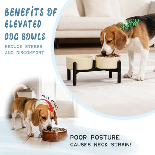 Ceramic Elevated Dog Bowl Set (Pink / 3.5 Cups)