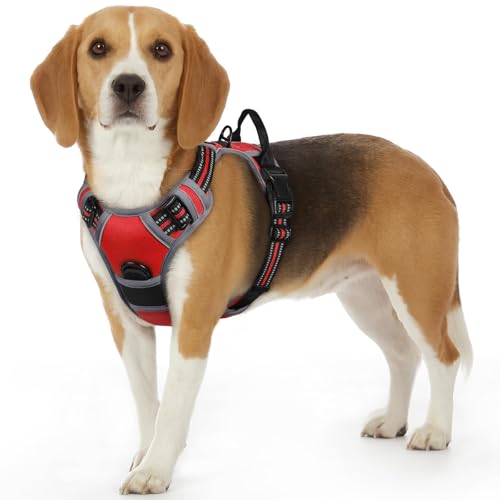 Dog Harness for Small Dogs (Small / Red)